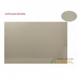 Cartulina Natural T/A4